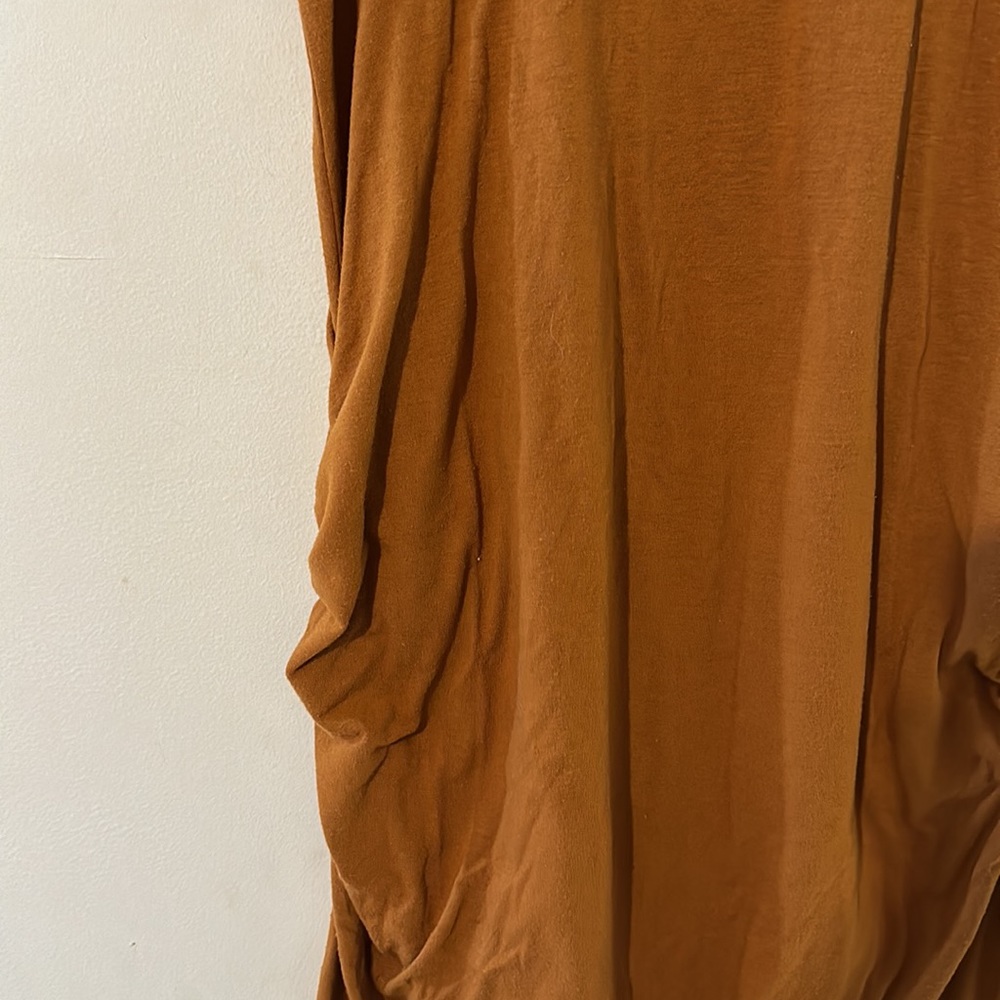 Extra Large Rust Maternity Dress - Picture 4 of 7